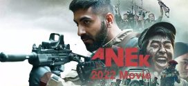 Anek (2022) Hindi NF WEB-DL H264 AAC 1080p 720p 480p ESub