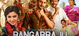 Bangarraju (2022) Dual Audio Hindi ORG WEB-DL H264 AAC 1080p 720p 480p ESub