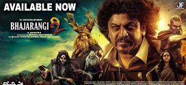 Bhajarangi 2 (2022) UNCUT Dual Audio Hindi ORG WEB-DL H264 AAC 1080p 720p 480p ESub