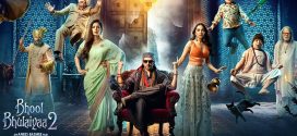 Bhool Bhulaiyaa 2 (2022) Hindi NF WEB-DL H264 AAC 1080p 720p 480p ESub