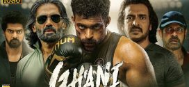 Ghani (2022) Hindi [HQ Dubbed] WEB-DL H264 AAC 1080p 720p 480p Download