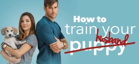 How To Train Your Husband (2017) Dual Audio Hindi ORG HDRip x264 AAC 1080p 720p 480p Download