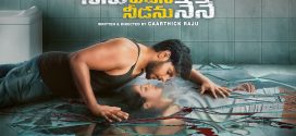 Ninu Veedani Needanu Nene (2019) Telugu AMZN WEB-DL H264 AAC 1080p 720p 480p ESub
