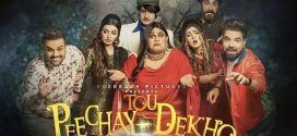 Peechay Tou Dekho (2022) Hindi Dubbed HQ PreDVDRip x264 AAC 1080p 7820p 480p Download