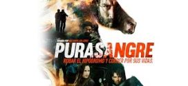Purasangre (2016) Dual Audio Hindi ORG BluRay x264 AAC 720p 480p Download