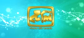 Teleacademy Awards (2022) Bengli DSNP WEB-DL H264 AAC 1080p 720p Download