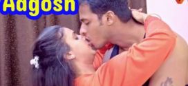 Aagosh (2022) Hindi Triflicks Short Film 720p Watch Online