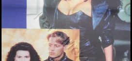 Wild Attraction (1992) Dual Audio Hindi ORG DVDRip x264 AAC 720p 480p Download