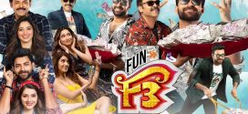 F3 Fun and Frustration (2022) Hindi [HQ Dubbed] WEB-DL H264 AAC 1080p 720p 480p Download