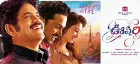 Oopiri (2016) Telugu WEB-DL H264 AAC 720p 480p Download