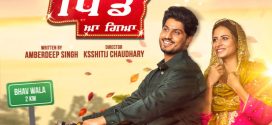 Sohreyan Da Pind Aa Gaya (2022) Punjabi PreDVDRip x264 AAC 720p 480p Download