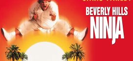 Beverly Hills Ninja (1997) Dual Audio Hindi ORG WEB-DL H264 AAC 1080p 720p 480p ESub