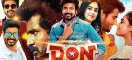 Don (2022) UNCUT Dual Audio Hindi ORG WEB-DL H264 AAC 1080p 720p 480p ESub