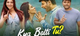 Next Enti (2018) UNCUT Dual Audio Hindi ORG WEB-DL H264 AAC 1080p 720p 480p ESub