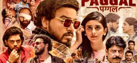Paggal (2022) Hindi WEB-DL 2160p 1080p 720p 480p Download