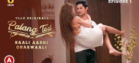 Palang Tod (Saali Aadhi Gharwaali) 2022 Hindi Complete Hot Web Series 720p Watch Online