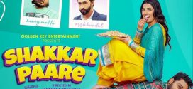 Shakkar Paare (2022) Punjab PreDVDRip x264 AAC 1080p 720p 480p Download