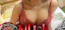 Taming A Sex Man (2022) Korean Full Movie 720p Watch Online