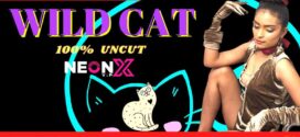 Wild Cat (2022) UNCUT Hindi NeonX Short Film 720p Watch Online