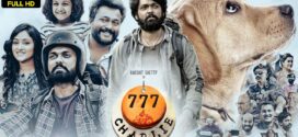 777 Charlie (2022) Hindi AMZN WEB-DL H264 AAC 1080p 720p 480p ESub