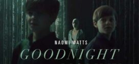 Goodnight Mommy (2022) Dual Audio Hindi ORG AMZN WEB-DL H264 AAC 1080p 720p 480p ESub