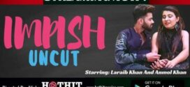 Impish (2022) UNCUT Hindi HotHits Short Film 720p Watch Online