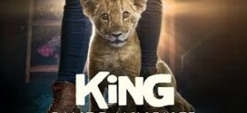 King (2022) Dual Audio Hindi ORG AMZN WEB-DL H264 AAC 1080p 720p 480p ESub