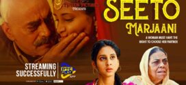 Seeto Marjaani (2022) Punjabi WEB-DL H264 AAC 1080p 720p 480p Download