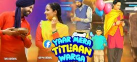 Yaar Mera Titliaan Warga (2022) Punjabi AMZN WEB-DL H264 AAC 1080p 720p 480p ESub