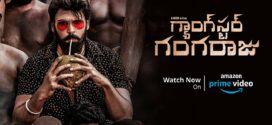 Gangster Gangaraju (2022) UNCUT Dual Audio Hindi ORG WEB-DL H264 AAC 1080p 720p 480p ESub