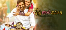 Krishna Vrinda Vihari (2022) Telugu WEB-DL H264 AAC 1080p 720p 480p ESub