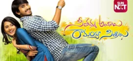 Seethamma Andalu Ramayya Sitralu (2016) UNCUT Dual Audio Hindi ORG WEB-DL H264 AAC 1080p 720p 480p ESub