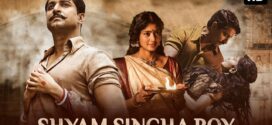 Shyam Singha Roy (2022) UNCUT Dual Audio Hindi ORG WEB-DL H264 AAC 1080p 720p 480p ESub