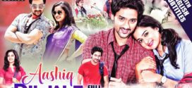 Aashiq Diljale-Lovers (2022) UNCUT Dual Audio Hindi ORG WEB-DL H264 AAC 1080p 720p 480p ESub