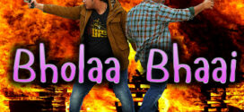 Bholaa Bhaai (2022) Hindi AMZN WEB-DL H264 AAC 1080p 720p 480p ESub