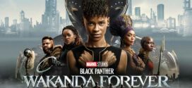 Black Panther Wakanda Forever (2022) Hindi [HQ Dubbed] HQ PreDVDRip H264 AAC 720p 480p Download