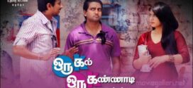 Oru Kal Oru Kannadi (2012) UNCUT Dual Audio Hindi ORG WEB-DL H264 AAC 1080p 720p 480p Download