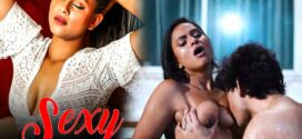 Sexy Night (2022) Hindi Mojfix Short Film 720p Watch Online