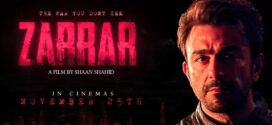 Zarrar (2022) Urdu CAMRip x264 AAC 1080p 720p 480p Download