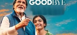 Goodbye (2022) Hindi NF WEB-DL H264 AAC 1080p 720p 480p ESub