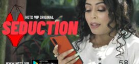 Seduction (2022) UNCUT Hindi HotX Short Film 720p Watch Online