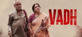 Vadh (2022) Hindi HQ PreDVDRip x264 AAC 1080p 720p 480p Download