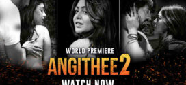 Angithee 2 (2023) Hindi WEB-DL H264 AAC 1080p 720p 480p Download