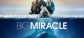 Big Miracle (2012) Dual Audio Hindi ORG BluRay x264 AAC 1080p 720p 480p ESub