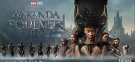 Black Panther Wakanda Forever (2022) Hindi [Audio Cleaned] HDRip H264 AAC 1080p 720p 480p Download
