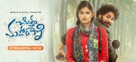 Chittam Maharani (2022) Telugu AHA WEB-DL H264 AAC 1080p 720p 480p ESub