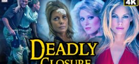 Deadly Closure (2010) Dual Audio Hindi ORG BluRay x264 AAC 720p 480p ESub