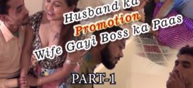 Husband Ka Promotion Part-01-02 (2023) UNCUT Hindi NiFlix Short Film 720p Watch Online