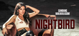 18+Nightbird (2023) Filipino VivaMax WEB-DL H264 AAC 1080p 720p 480p Download