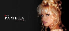 Pamela a Love Story (2023) Dual Audio Hindi ORG NF WEB-DL H264 AAC 1080p 720p 480p ESub